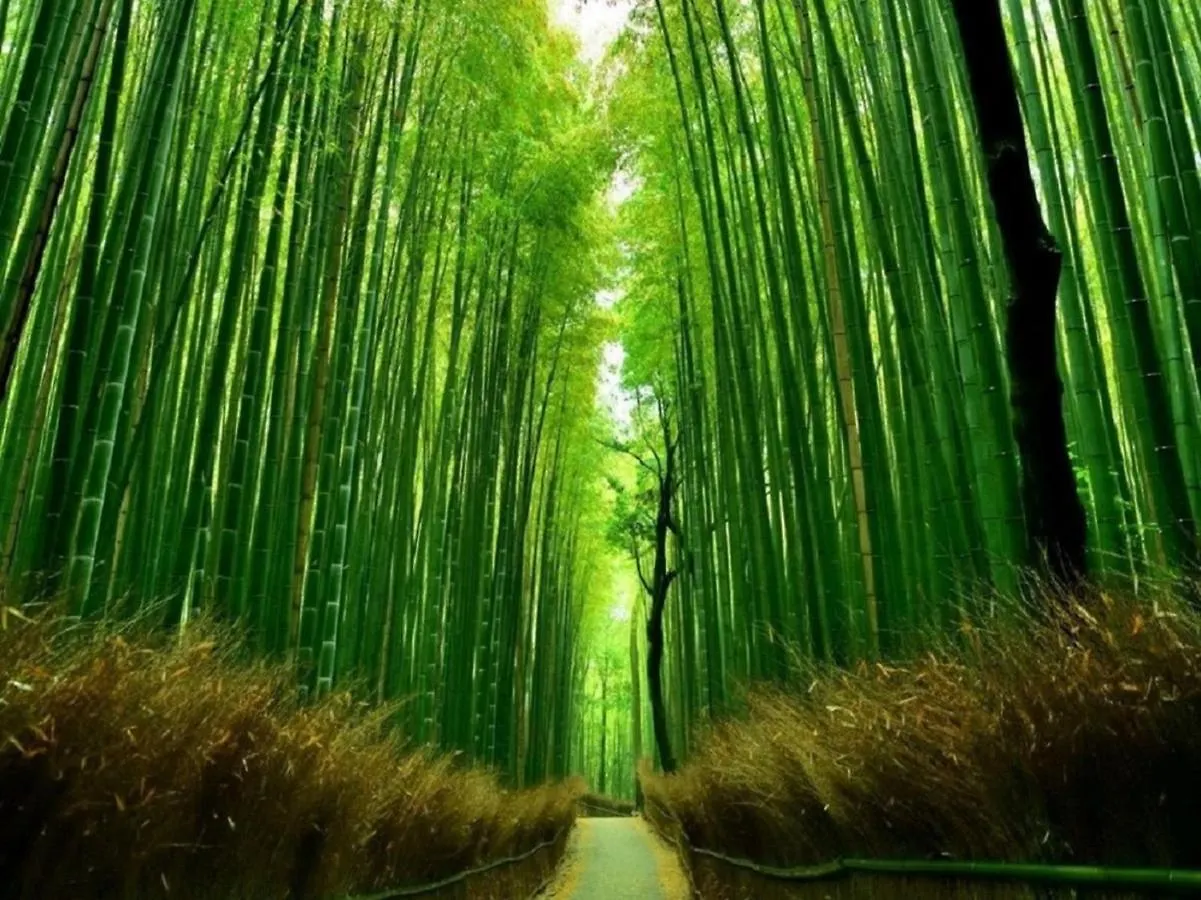 Semesterbostad 鴨川 栄の屋 Kamo River Machiya Halo House Kyoto Japan